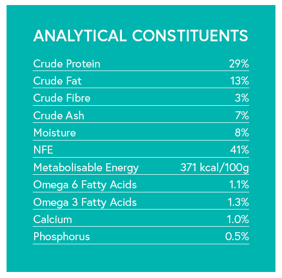 Grain Free Adult Dog Food - Angus Beef With Sweet Potato & Carrot - Kibble UK - My Online Pet Store