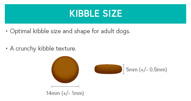 Grain Free Adult Dog Food - Chicken with Sweet Potato & Herbs - Kibble UK - My Online Pet Store