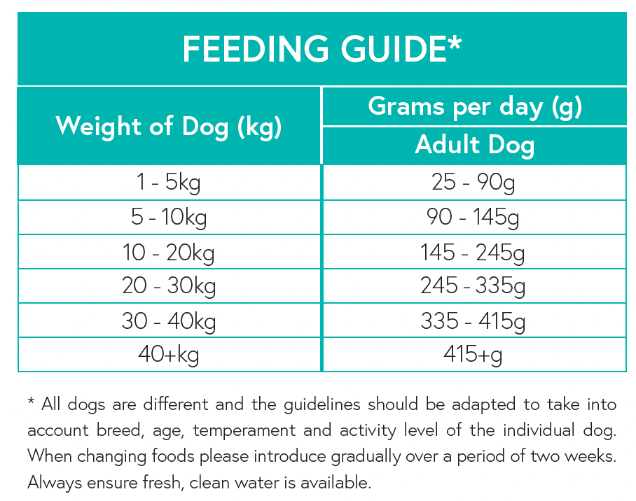 Grain Free Adult Dog Food - Lamb with Sweet Potato & Mint - Kibble UK - My Online Pet Store