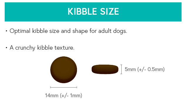 Grain Free Adult Dog Food - Lamb with Sweet Potato & Mint - Kibble UK - My Online Pet Store