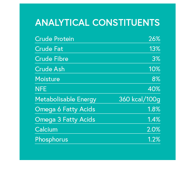 Grain Free Adult Dog Food - Lamb with Sweet Potato & Mint - Kibble UK - My Online Pet Store