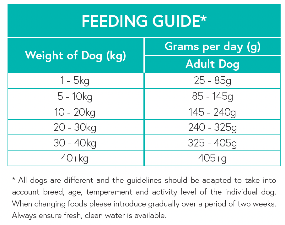 Grain Free Adult Dog Food - Pork with Sweet Potato & Apple - Kibble UK - My Online Pet Store