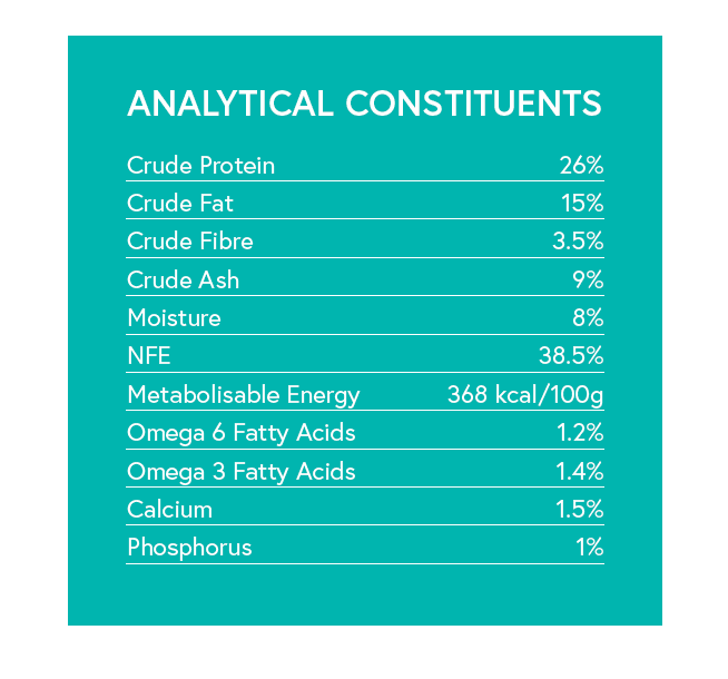 Grain Free Adult Dog Food - Pork with Sweet Potato & Apple - Kibble UK - My Online Pet Store