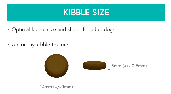 Grain Free Adult Dog Food - Pork with Sweet Potato & Apple - Kibble UK - My Online Pet Store