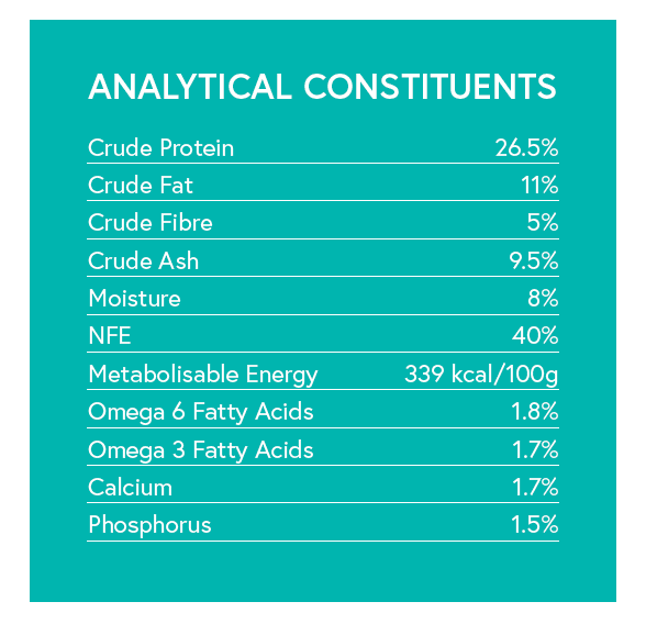 Grain Free Adult Dog Food - Rabbit with Sweet Potato & Blackberry - Kibble UK - My Online Pet Store