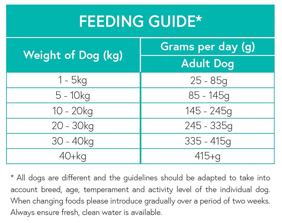 Grain Free Adult Dog Food - Salmon with Trout, Sweet Potato & Asparagus - Kibble UK - My Online Pet Store