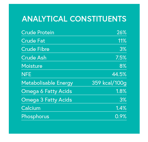 Grain Free Adult Dog Food - Salmon with Trout, Sweet Potato & Asparagus - Kibble UK - My Online Pet Store