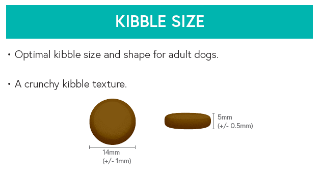 Grain Free Adult Dog Food - Salmon with Trout, Sweet Potato & Asparagus - Kibble UK - My Online Pet Store