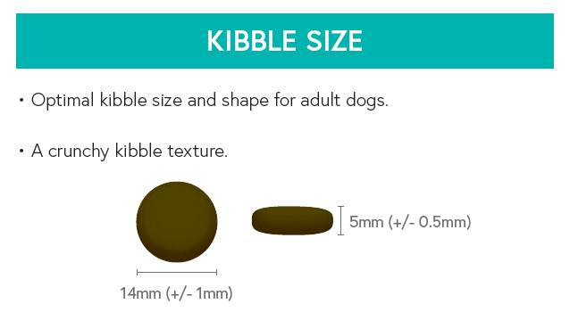 Grain Free Adult Dog Food - Tuna with Sweet Potato & Broccoli - Kibble UK - My Online Pet Store