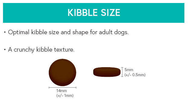 Grain Free Adult Dog Food - Venison with Sweet Potato & Mulberry - Kibble UK - My Online Pet Store