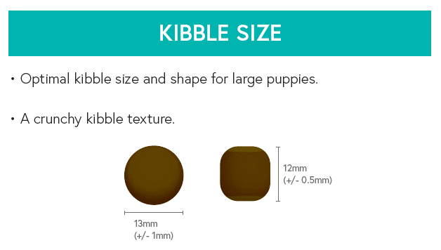 Grain Free Large Breed Puppy Food - Salmon with Sweet Potato & Vegetables - Kibble UK - My Online Pet Store