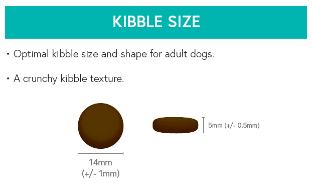 Grain Free Light (Weight Control) Dog Food - Turkey with Sweet Potato & Cranberry - Kibble UK - My Online Pet Store