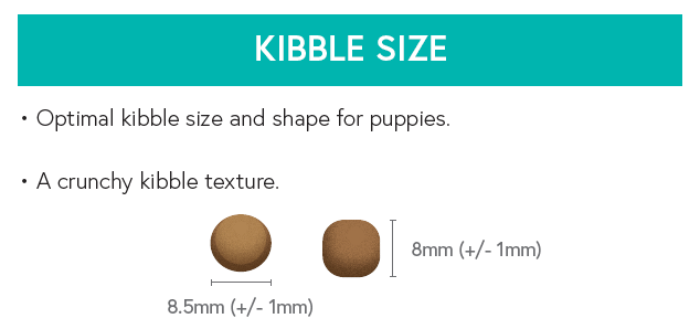 Grain Free Puppy Food - Chicken with Turkey, Salmon, Sweet Potato & Carrot - Kibble UK - My Online Pet Store
