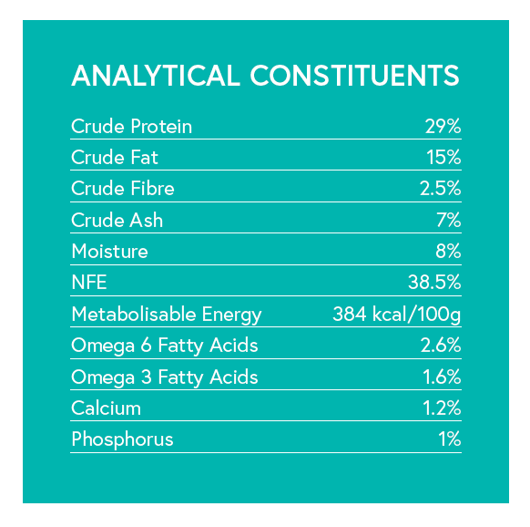 Grain Free Puppy Food - Chicken with Turkey, Salmon, Sweet Potato & Carrot - Kibble UK - My Online Pet Store