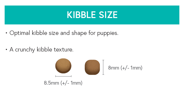 Grain Free Puppy Food - Salmon with Haddock, Blue Whiting, Sweet Potato & Asparagus - Kibble UK - My Online Pet Store