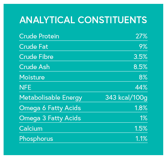 Grain Free Senior Dog Dog Food - Turkey with Sweet Potato & Cranberry - Kibble UK - My Online Pet Store