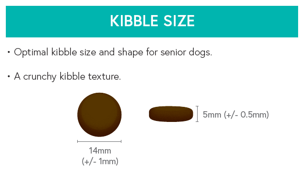 Grain Free Senior Dog Dog Food - Turkey with Sweet Potato & Cranberry - Kibble UK - My Online Pet Store