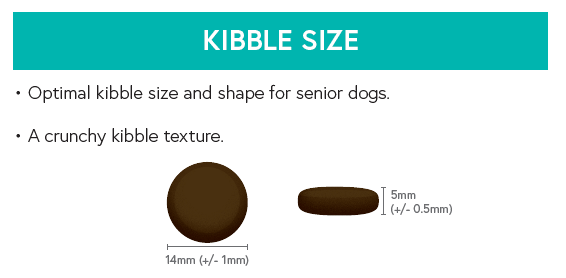 Grain Free Senior Dog Food - Trout with Salmon, Sweet Potato & Asparagus - Kibble UK - My Online Pet Store