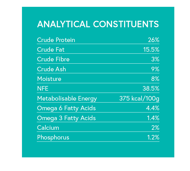 Grain Free Small Breed Dog Food - Duck with Sweet Potato & Orange - Kibble UK - My Online Pet Store