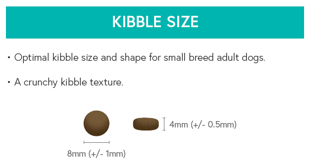 Grain Free Small Breed Dog Food - Salmon with Trout, Sweet Potato & Asparagus - Kibble UK - My Online Pet Store