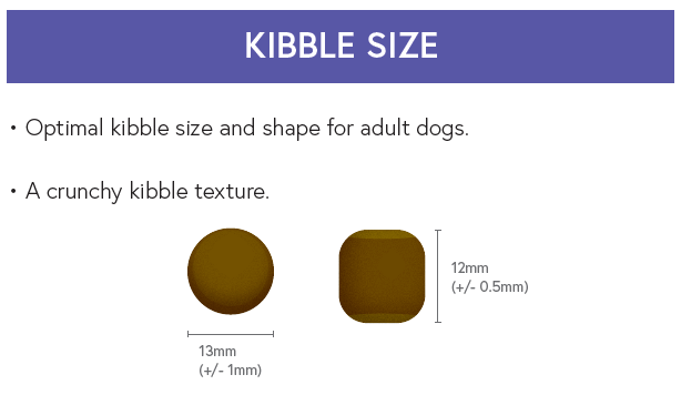 Super Premium Adult Dog Food - Duck with Potato - Kibble UK - My Online Pet Store