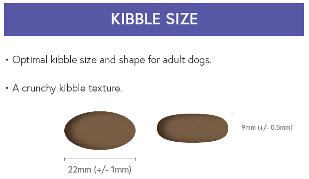 Super Premium Adult Dog Food - Salmon & Potato - Kibble UK - My Online Pet Store