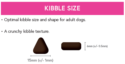 Superfood 65 ® Dog Food - Italian Buffalo with Basil, Blackberry, Turmeric, Flaxseed & Apple - Kibble UK - My Online Pet Store