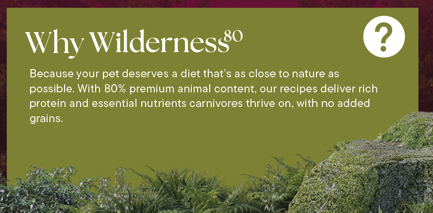 Wilderness 80 Grain Free Dog Food (All Lifestages) - Duck, Pork, Turkey & Angus Beef