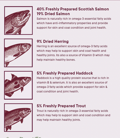Wilderness 80 Grain Free Dog Food (All Lifestages) - Salmon, Herring, Haddock & Trout