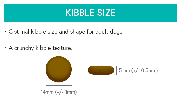 Grain Free Adult Dog Food - Angus Beef With Sweet Potato & Carrot - Kibble UK - My Online Pet Store