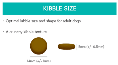 Grain Free Adult Dog Food - Angus Beef With Sweet Potato & Carrot - Kibble UK - My Online Pet Store