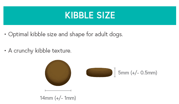 Grain Free Adult Dog Food - Rabbit with Sweet Potato & Blackberry - Kibble UK - My Online Pet Store