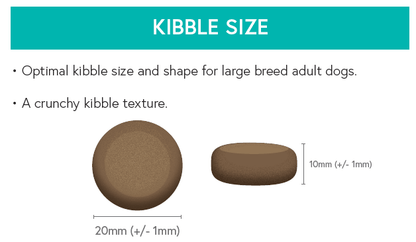 Grain Free Large Breed Dog Food - Turkey with Sweet Potato & Cranberry - Kibble UK - My Online Pet Store