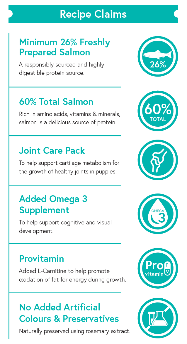 Grain Free Large Breed Puppy Food - Salmon with Sweet Potato & Vegetables - Kibble UK - My Online Pet Store