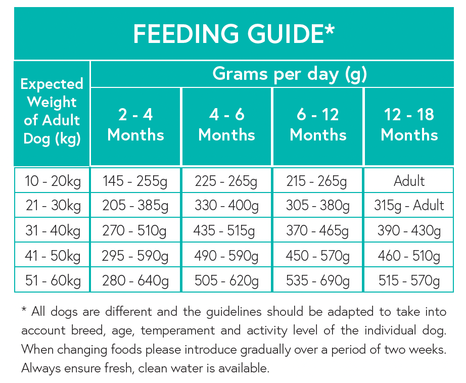 Grain Free Large Breed Puppy Food - Salmon with Sweet Potato & Vegetables - Kibble UK - My Online Pet Store