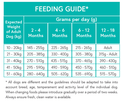 Grain Free Large Breed Puppy Food - Salmon with Sweet Potato & Vegetables - Kibble UK - My Online Pet Store