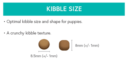 Grain Free Puppy Food - Chicken with Turkey, Salmon, Sweet Potato & Carrot - Kibble UK - My Online Pet Store