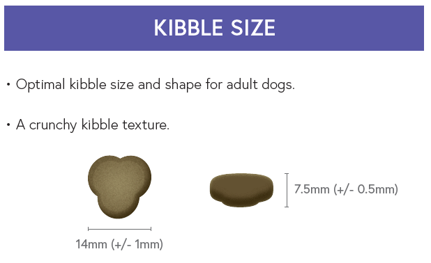Super Premium Adult Dog Food - Turkey with Rice - Kibble UK - My Online Pet Store