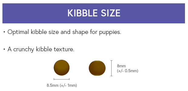 Super Premium Puppy Food - Chicken with Rice - Kibble UK - My Online Pet Store