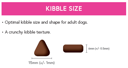 Superfood 65 ® Dog Food - Free Range Turkey with Parsley, Papaya, Nettle, Zucchini & Pumpkin - Kibble UK - My Online Pet Store