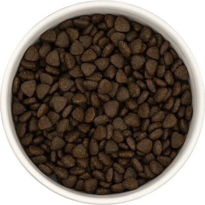 Superfood 65 ® Puppy Food - Scottish Salmon with Dill, Spinach, Fennel, Asparagus & Tomato - Kibble UK - My Online Pet Store