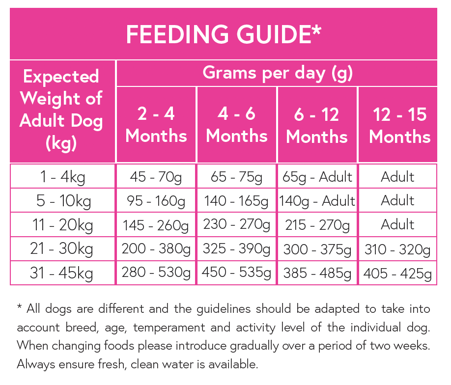 Superfood 65 ® Puppy Food - Scottish Salmon with Dill, Spinach, Fennel, Asparagus & Tomato - Kibble UK - My Online Pet Store
