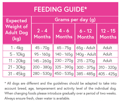 Superfood 65 ® Puppy Food - Scottish Salmon with Dill, Spinach, Fennel, Asparagus & Tomato - Kibble UK - My Online Pet Store