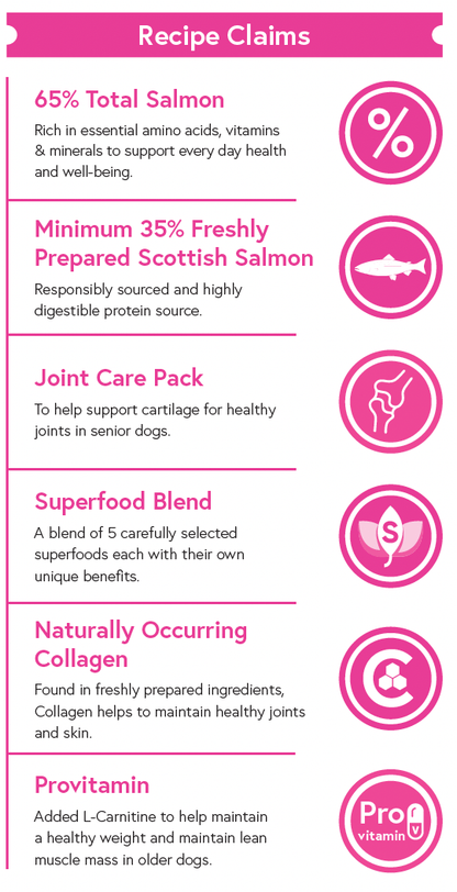 Superfood 65 ® Senior Dog Food - Scottish Salmon with Dill, Spinach, Fennel, Asparagus & Tomato - Kibble UK - My Online Pet Store